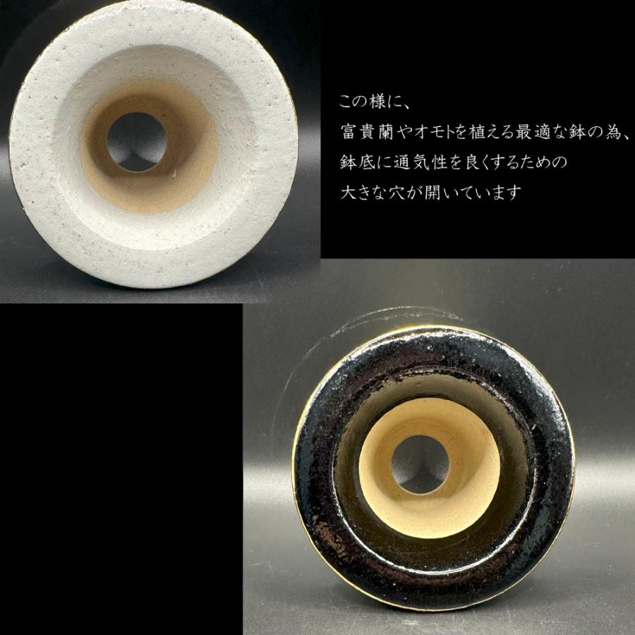富貴蘭 鉢 京楽焼 おしゃれ 室内 窯元 愛楽園 鱗 ウコロ 1品1品手描き