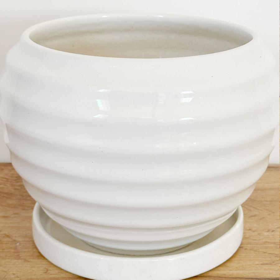 観葉植物 陶器の鉢 観葉植物 鉢 8号 丸陶器鉢 ソーサー付 選べるカラー ホワイト ブラック