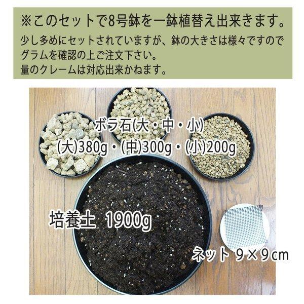 植え替え土セット 8号鉢用 培養土 底ネット ボラ石 底石 観葉植物用 送料別 植え替えオプション Op Tu 2 Okabe Green Jewelryplant 通販 Yahoo ショッピング