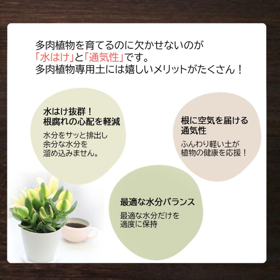 多肉植物用土セット 8号鉢用 多肉植物 観葉植物 土 室内用 鉢植え 鹿沼