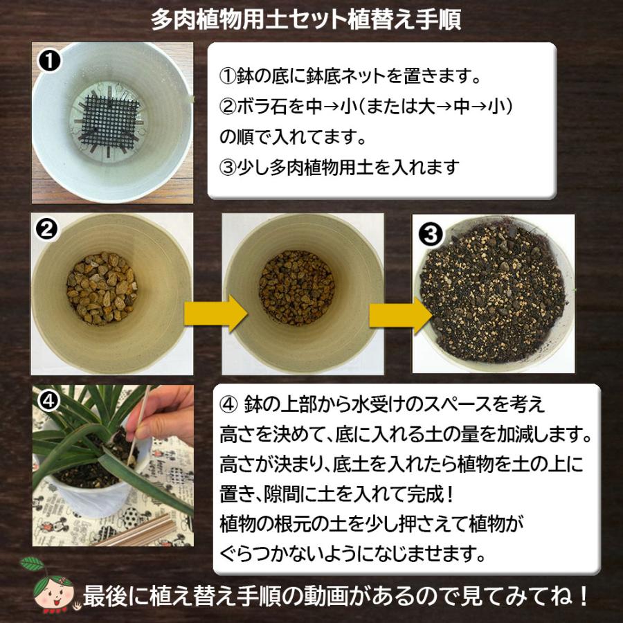 多肉植物用 土セット 多肉植物 観葉植物 土 室内用 鉢植え 4号 鹿沼土