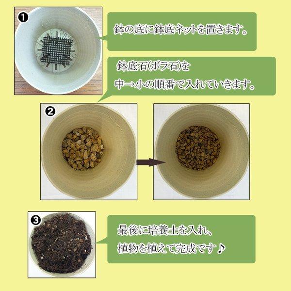 植え替え土 陶器鉢 セット 4号鉢用 鉢植え 丸陶器鉢 ソーサー付き 培養土 底ネット ボラ石 底石 観葉植物用 植え替えオプション Op Tu Tb Okabe Green Jewelryplant 通販 Yahoo ショッピング