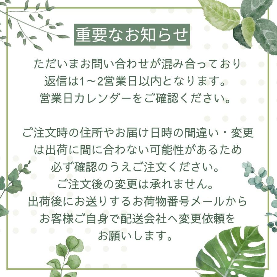 観葉植物 おしゃれ 化粧石 ピンク 400g 飾り石 玉砂利 化粧砂利 お正月用 単品 鉢植え マルチング  送料別 植え替えオプション |  | 03