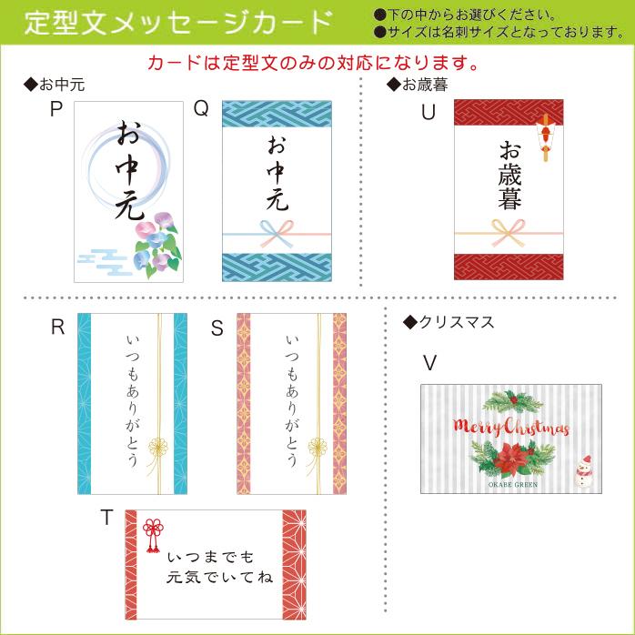 ポトス グリーン プラスチック鉢吊り棒付 取り外し可能 観葉植物 おしゃれ お祝い プレゼント ギフト風水 種類一覧 鉢植え お中元 敬老の日 Ps 157 Okabe Green Jewery Plant 通販 Yahoo ショッピング