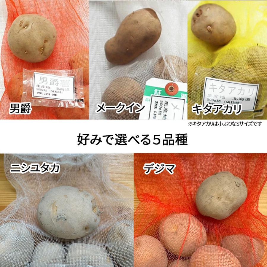 ジャガイモ 種芋 じゃがいも 1kg 秋植え 選べる品種 男爵 メークイン