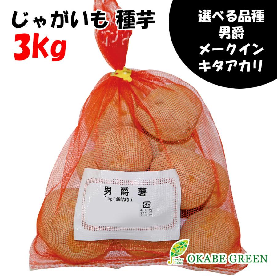 ジャガイモ 種芋 じゃがいも 3kg 秋植え 選べる品種 男爵 メークイン