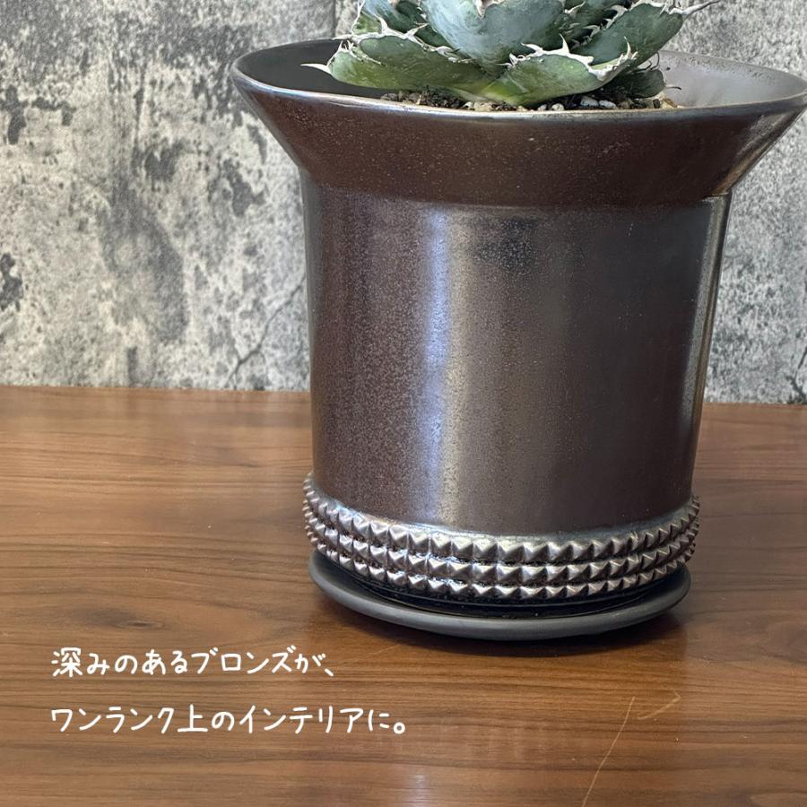 観葉植物 アガベ チタノタ ブルー＆ブラック 現品 陶器鉢 ラッピング