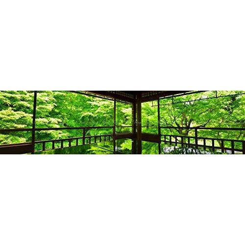 絵画風 壁紙ポスター 新緑が反射する床もみじ はがせるシール式 地球の撮り方 新緑が反射する床もみじ Store 壁紙ポスター キャラクロ とは アニメのキャラクターや各種写真 画像そしてお気に入りの画像が特殊プリントされたインテ A B07gjz3d34 2109 絵画風