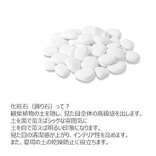 最適な価格 リサイクルストーン ホワイト 1袋 化粧石 飾り石 マルチングストーン マルチング 鉢土隠し サステナブル サスティナブル Aynaelda Com