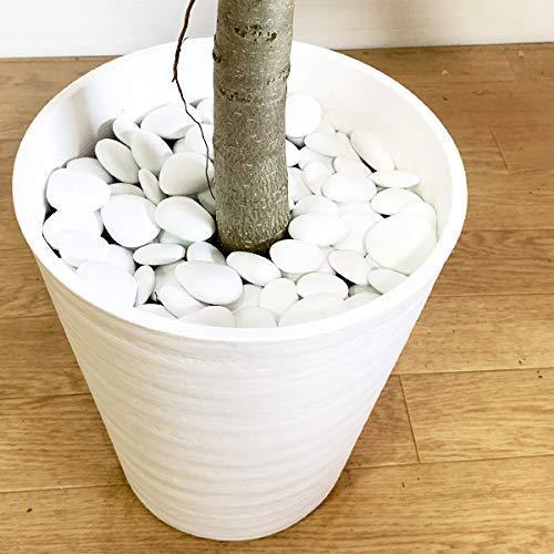 最適な価格 リサイクルストーン ホワイト 1袋 化粧石 飾り石 マルチングストーン マルチング 鉢土隠し サステナブル サスティナブル Aynaelda Com