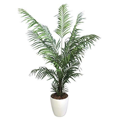 ササガワ 人工観葉植物 アレカヤシ 光触媒 H190cm Okabe 高さ約190cmのフェイクグリーン 上向きに生えた剣状のしなやかに尖った葉がエキゾチックなフェイクグリーン 株の A B08p31pl5b 2225 ササガワ 32 8724 A B08p31pl5b 2225 Store Lサイズ 人工観葉植物 32