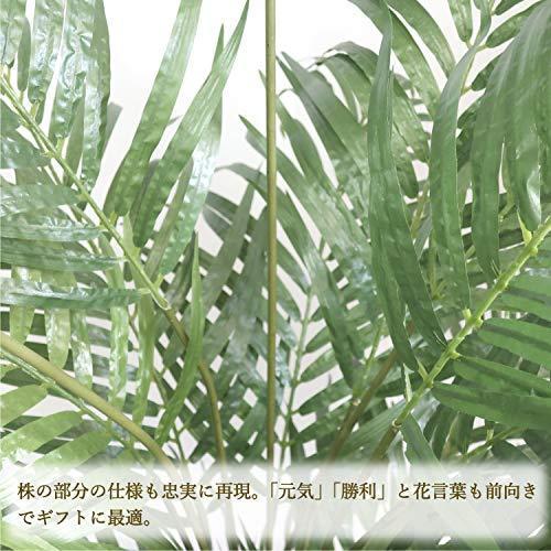ササガワ 人工観葉植物 アレカヤシ 光触媒 H190cm Okabe 高さ約190cmのフェイクグリーン 上向きに生えた剣状のしなやかに尖った葉がエキゾチックなフェイクグリーン 株の A B08p31pl5b 2225 ササガワ 32 8724 A B08p31pl5b 2225 Store Lサイズ 人工観葉植物 32