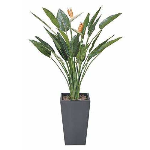 光触媒 人工観葉植物 光の楽園 アートストレチア花付 1 6m 115h900 人工観葉 フェイクグリーン Tributosdodf Com Br