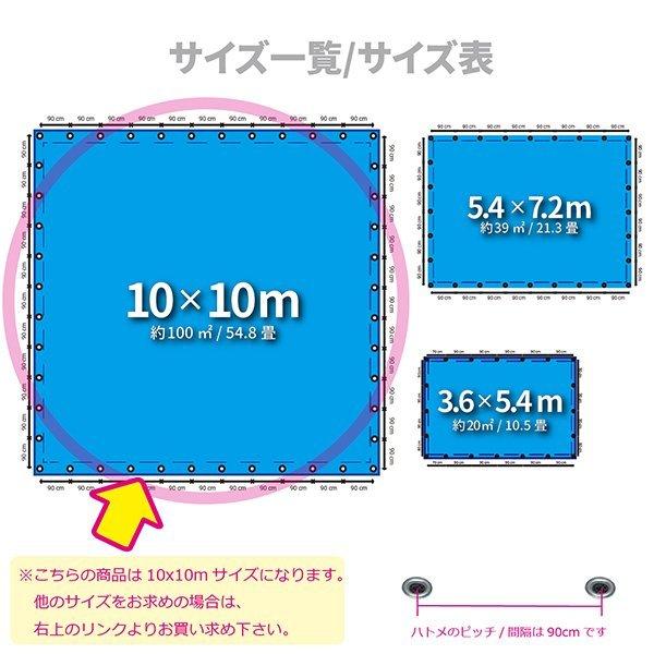 ブルーシート（ハトメつき）　10m × 10m #3000