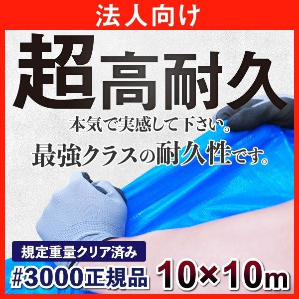 ブルーシート 3000 10m×10m 日本最強品質(正規品) 高耐久 バージン材 厚手 防水 サイズ表 サイズ一覧 法人 団体向け ハトメ 保護カバー 保護シート｜okacho-store