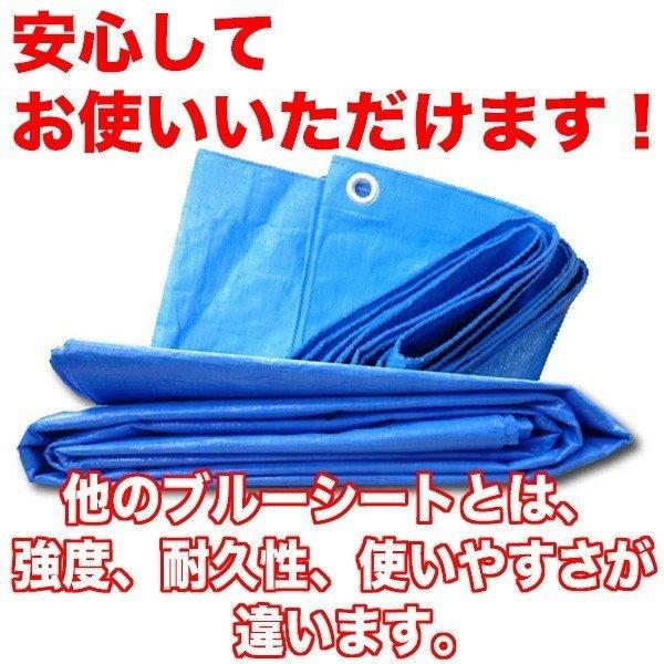 ブルーシート 3000 10m×10m 日本最強品質(正規品) 高耐久 厚手