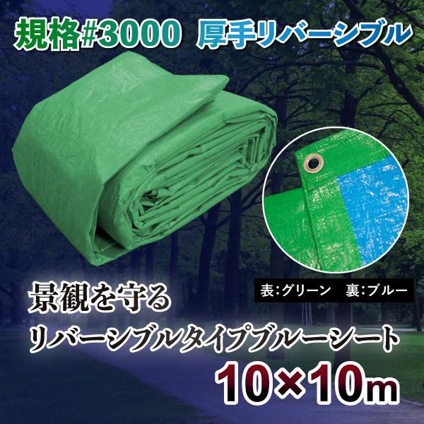 ブルーシート グリーン 緑色 #3000 10m×10m 高耐久 高品質 サイズ一覧 サイズ表 特別価格 防水 厚手 リバーシブル ハトメ 景観シート 緑＆青｜okacho-store