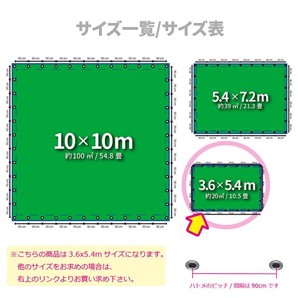 ブルーシート グリーン 緑色 #3000 3.6m×5.4m 高耐久 高品質 サイズ一覧 サイズ表 特別価格 防水 厚手 リバーシブル ハトメ 景観シート 緑＆青｜okacho-store｜02