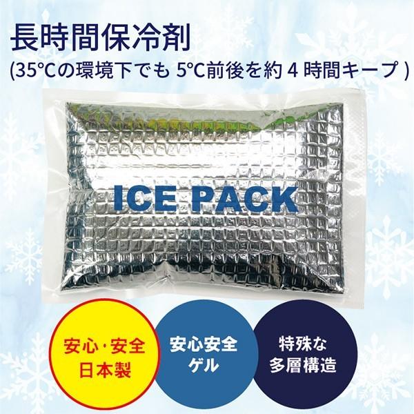 保冷剤ベスト アイスベスト 冷却ベスト 熱中症対策 保冷剤2個付き