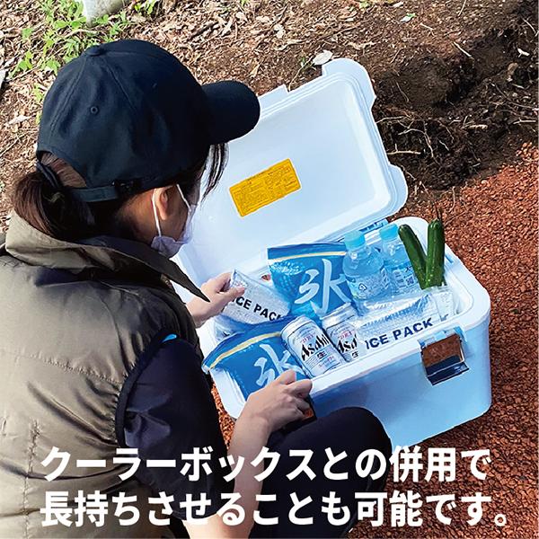 保冷剤 日本製 アルミパック 10個 長時間 天然素材由来 アルミ保冷剤