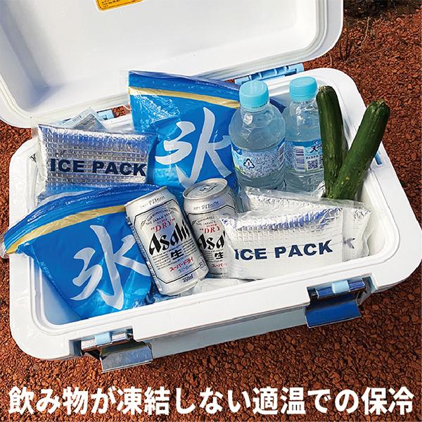素晴らしい外見 保冷剤 日本製 80個入 法人向け 団体向け 業務用 アイスボックス 長時間
