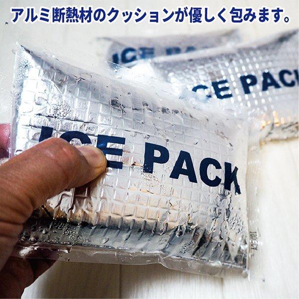 発泡スチロール 箱 アイスボックス ケース 日本製 クーラーボックス 業務用 ボックス 日本製アルミ保冷剤 10個入り セット 長持ち 熱中症対策 Icepack10pack Icebox 1set 岡潮 ヤフーショップ 通販 Yahoo ショッピング