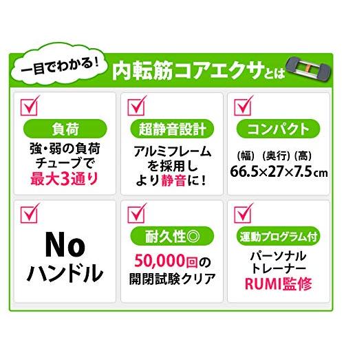 エアロライフ 内転筋コアエクサ ステッパー レッグスライダー スライダー トレーニング 静音 足踏み健康器具 運動器具 健康 静か 内転筋 エク 内転筋コアエクサ