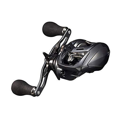 ダイワ(DAIWA) 両軸リール 20 ADMIRA A 100XH(2020モデル 