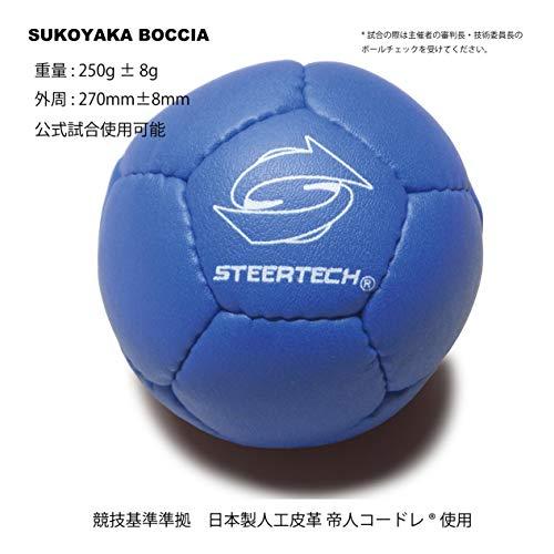 ステアテック ボッチャ ハーフセット STEERTECH BOCCIA スタンダードカラーレクレーション ボッチャ STD ボッチャ