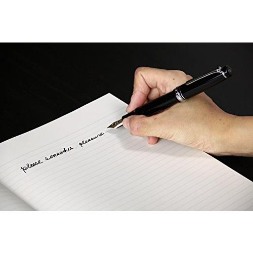 セーラー万年筆 万年筆 プロフェッショナルギア 銀 ブラック 中字 11-2037-420 中字