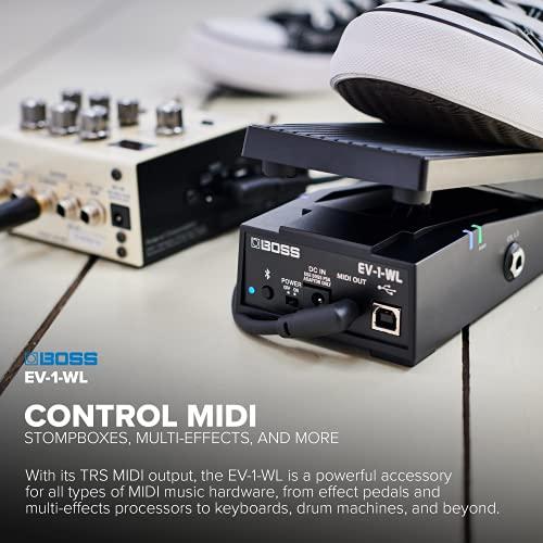 BOSS/EV-1-WL WL