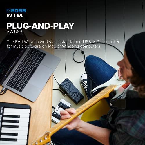 BOSS/EV-1-WL WL