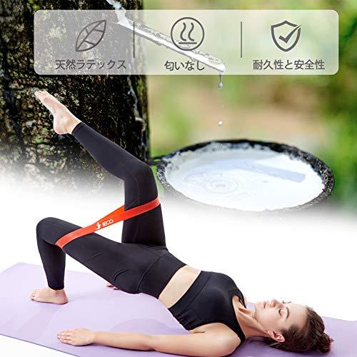 2022年最新海外IECO トレーニングチューブ エクササイズバンド 筋トレ