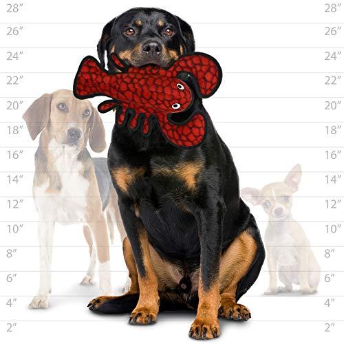 【超美品】 タフィーズ 丈夫な犬用ぬいぐるみ ロブスター 【B1789048015】(10202円)