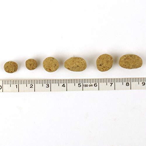 ジロ吉ごはんだよ オールステージ 小粒1kg×3袋まとめ買いセット 犬 ドライフード 