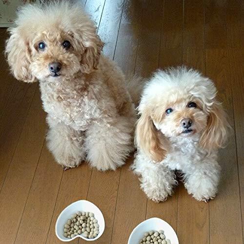 ジロ吉ごはんだよ オールステージ 小粒1kg×3袋まとめ買いセット 犬 ドライフード 