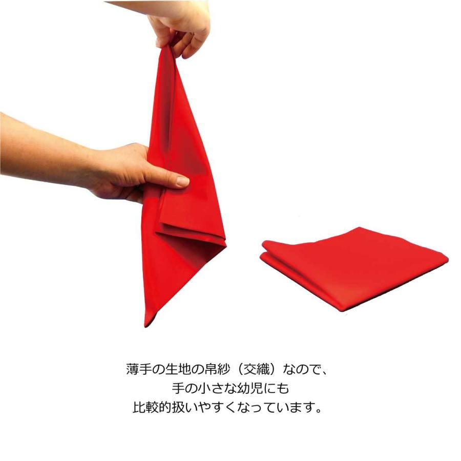 茶道 初めてセット 基本3点 女性用 帛紗（赤） 友禅袋入懐紙 扇子