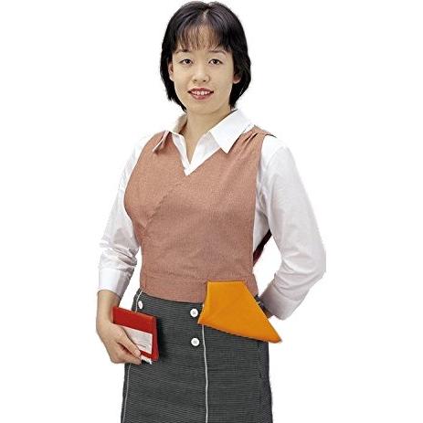 四季の彩 ベスト 茶湯の友 ベージュ Lサイズ 茶道具 新品 51s8ROL9YNL._AC_SY200_QL15_.jpg