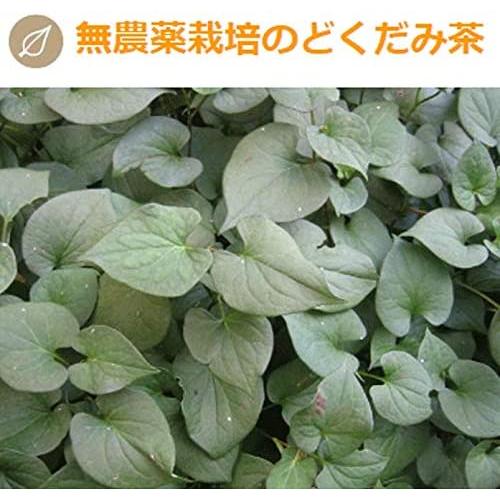 岡田園 どくだみ麗健茶 8種配合 健康茶 ティーバッグタイプ 160g 8g p Oka 2519 創業大正七年 お茶の岡田園 通販 Yahoo ショッピング