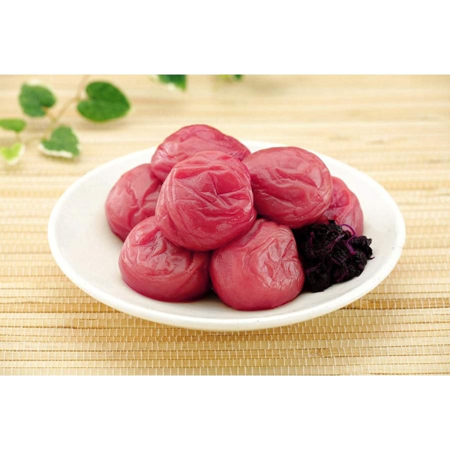 OSK 業務用 梅こぶ茶 スティック（2g×100本入）2袋セット : 創業大正七