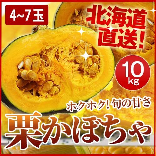 北海道産栗かぼちゃ（10kg/約4〜7玉） 産地直送 送料無料｜okadanouen