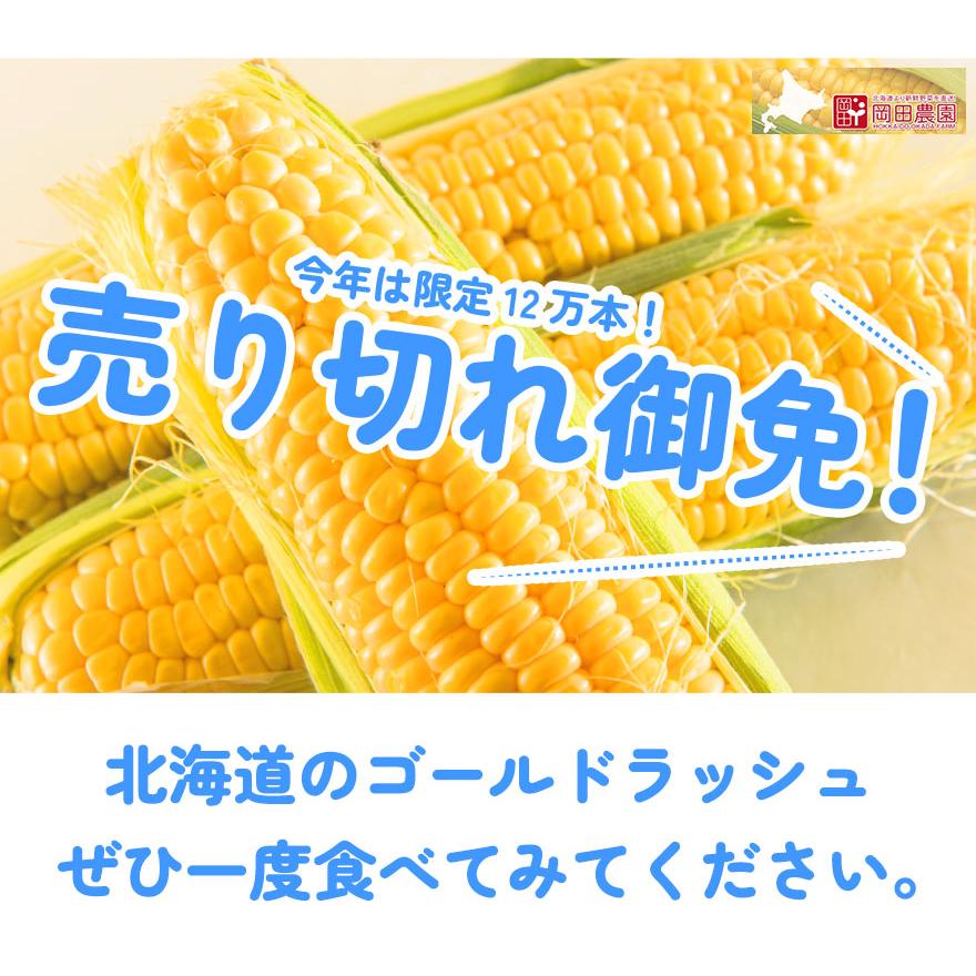 とうもろこし ゴールドラッシュ 2Lサイズ 10本セット 産地直送 北海道産 岡田農園 甘いトウモロコシ 朝採れ 産直｜okadanouen｜02