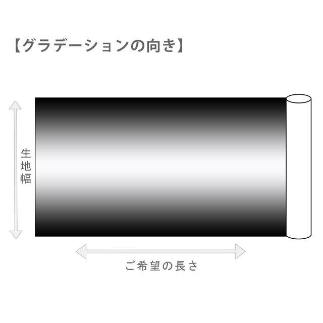 期間限定15％OFF／ 生地 グラデーション（DD11216S） 301.青〜黄系
