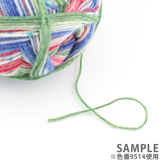毛糸 Opal-オパール- ベストオブオパール2026 4ply/4本撚り 9694