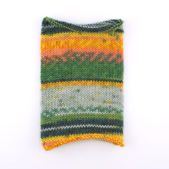 毛糸 Opal-オパール- レーゲンヴァルト20 4ply/4本撚り 9770 