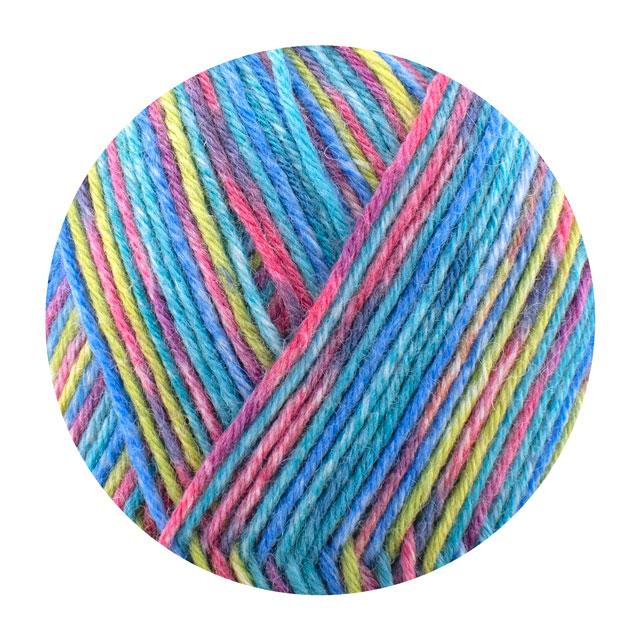 毛糸 Opal-オパール- フレンドシップ 6ply/6本撚り 11566.体験しよう