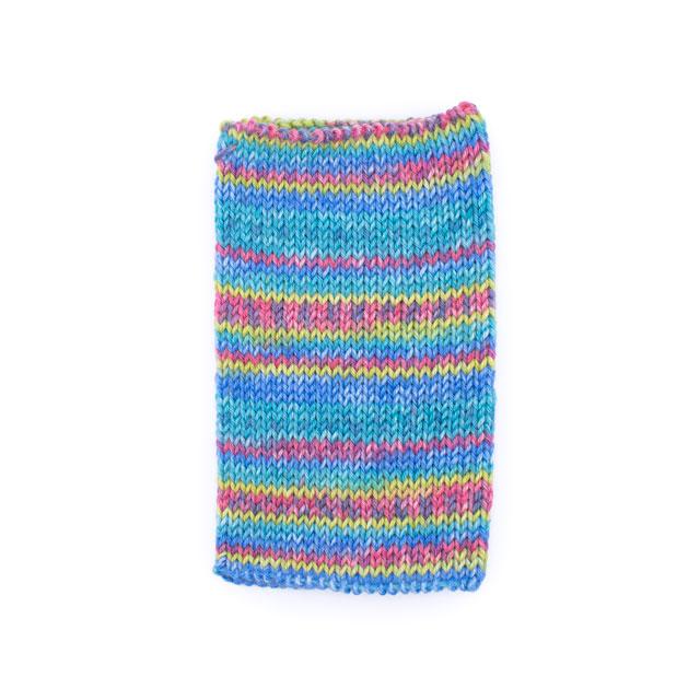 毛糸 Opal-オパール- フレンドシップ 6ply/6本撚り 11566.体験しよう