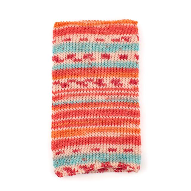 毛糸 Opal-オパール- レーゲンヴァルト21 4ply/4本撚り 11603.ライオン