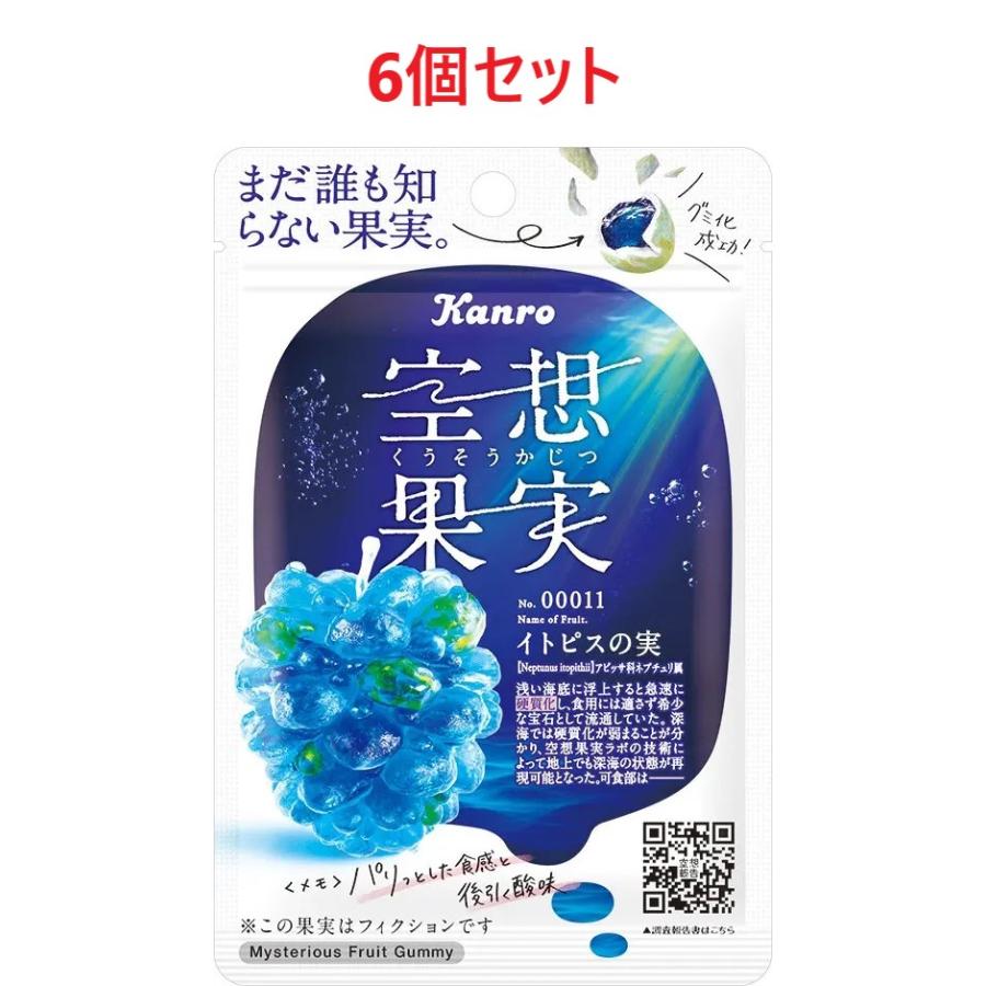 6個セット カンロ 空想果実 イトピスの実 33g : おかど書店Yahoo!店