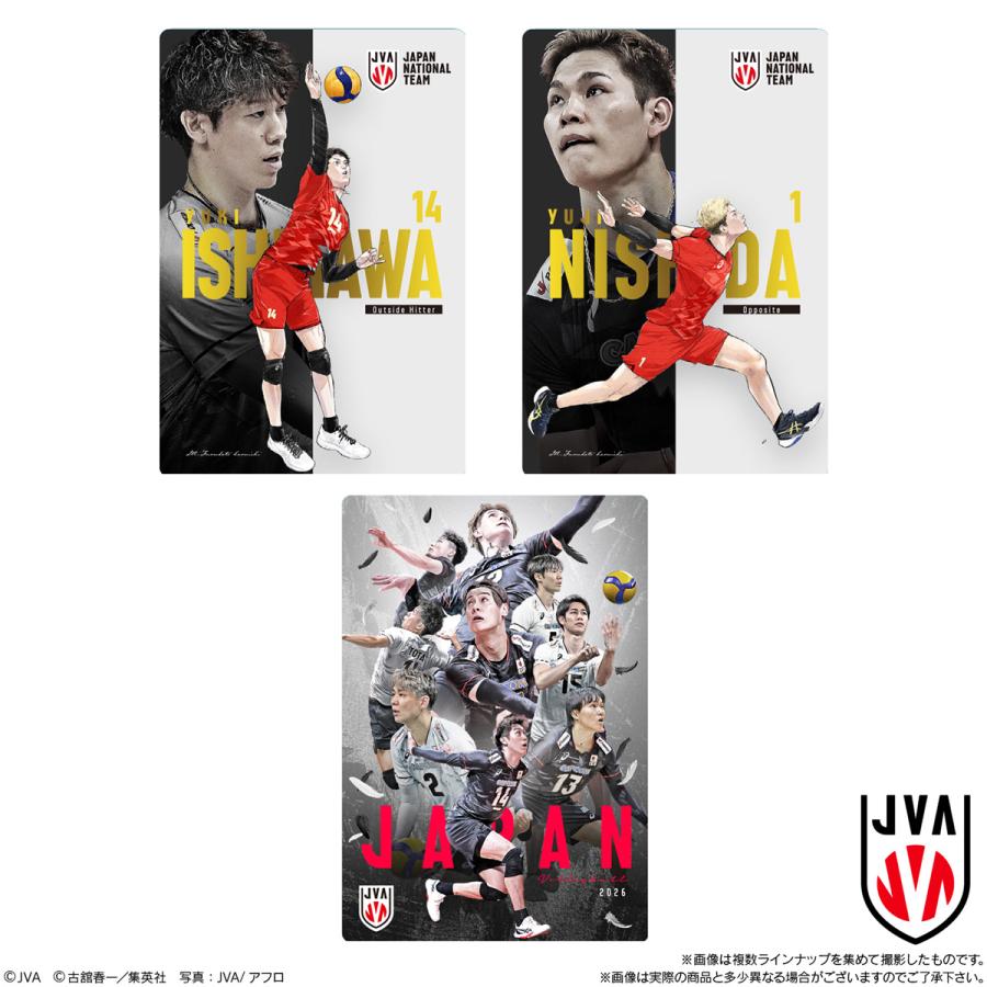 BANDAI（バンダイ） JAPAN NATIONAL VOLLEYBALL TEAM -男子日本代表ver